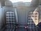2019 Volkswagen Golf GTI Rabbit Edition