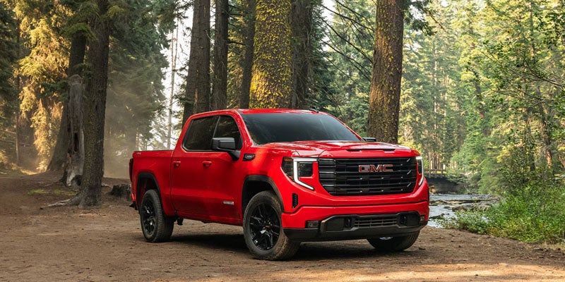 A red GMC pickup truck parked on a dirt path in a dense forest.